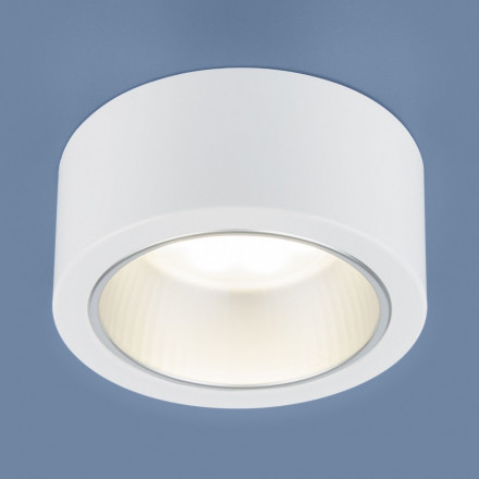 Накладной потолочный светильник белый Elektrostandard 1070 GX53