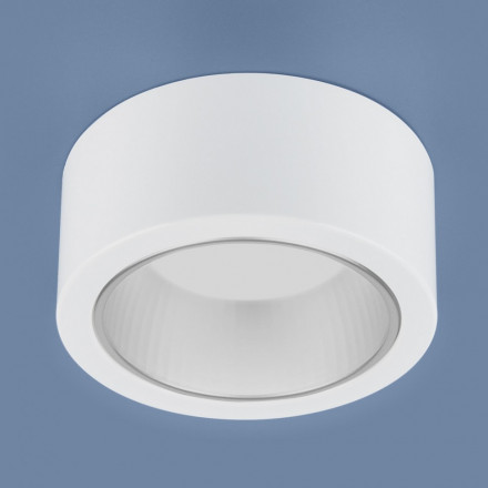 Накладной потолочный светильник белый Elektrostandard 1070 GX53