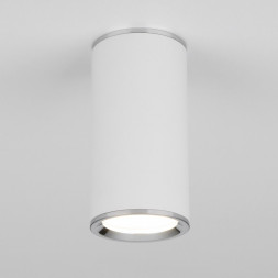Накладной потолочный светильник белый Elektrostandard DLN101 GU10