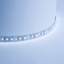Cветодиодная LED лента Feron LS612, 120SMD(2835)/м 9.6Вт/м  5м IP20 12V 6500К арт.27729