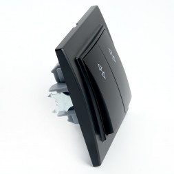 Переключатель 2-клавишный STEKKER  PSW10-9008-03, 250В, 10А, серия Эрна, черный арт.39921