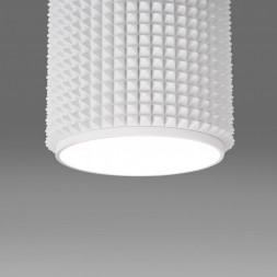 Накладной потолочный светильник белый Elektrostandard DLN112 GU10