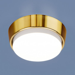 Накладной потолочный светильник золото Elektrostandard 1037 GX53 GD