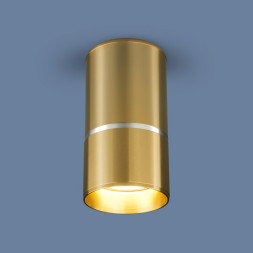 Накладной потолочный светильник золото Elektrostandard DLN106 GU10