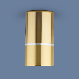 Накладной потолочный светильник золото Elektrostandard DLN106 GU10