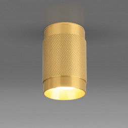 Накладной потолочный светильник золото Elektrostandard DLN109 GU10