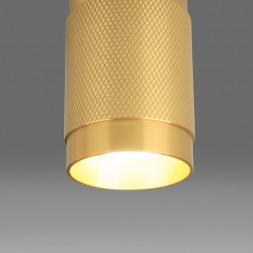 Накладной потолочный светильник золото Elektrostandard DLN109 GU10