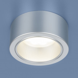 Накладной потолочный светильник серебро Elektrostandard 1070 GX53