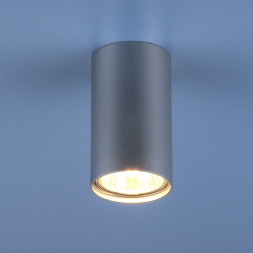 Накладной потолочный светильник серебро Elektrostandard 1081 GU10