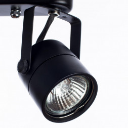 Светильник потолочный Arte Lamp A1310PL-2BK LENTE черный 2хGU10х50W 220V