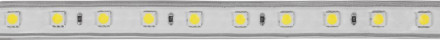Cветодиодная LED лента Feron LS707, 30SMD(5050)/м 7.2Вт/м  50м IP65 220V синий