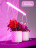 Светодиодный светильник для растений, спектр фотосинтез (красно-синий) 9W, пластик, AL7001 арт.41351