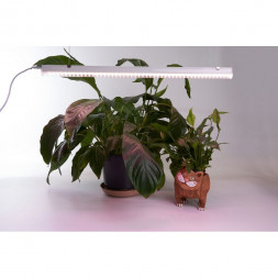 Светодиодный светильник для растений, спектр фотосинтез (полный спектр) 14W, пластик, AL7002 арт.41355