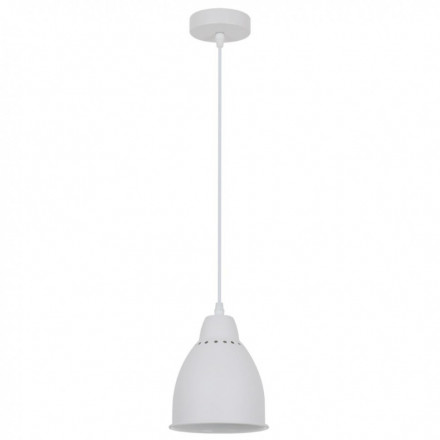 Светильник подвесной Arte Lamp A2054SP-1WH BRACCIO белый 1хE27х60W 220V
