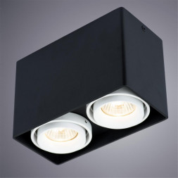 Светильник потолочный Arte Lamp A5655PL-2BK PICTOR черный 2хGU10х50W