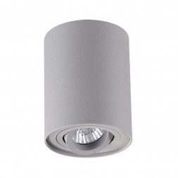 Потолочный накладной светильник ODEON LIGHT 3831/1C PILLARON