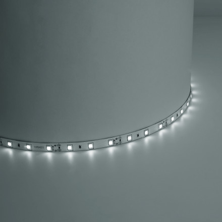 Cветодиодная LED лента Feron LS603, 60SMD(2835)/м 4.8Вт/м  5м IP20 12V 4000К арт.41446