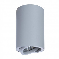Светильник потолочный Arte Lamp A1560PL-1GY SENTRY серый 1хGU10х50W 220V