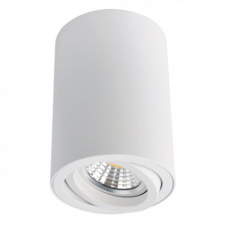 Светильник потолочный Arte Lamp A1560PL-1WH SENTRY белый 1хGU10х50W 220V