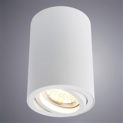 Светильник потолочный Arte Lamp A1560PL-1WH SENTRY белый 1хGU10х50W 220V