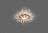 Светильник встраиваемый Feron CD4141 потолочный MR16 G5.3 коричневый, золотистый арт.19289