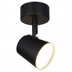Настенно-потолочный светодиодный светильник Elektrostandard DLR025 5W 4200K черный