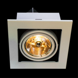 Светильник потолочный поворотный Arte Lamp A5930PL-1WH CARDANI MEDIO белый 1хG5,3х50W 2700К 220V