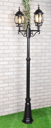 Уличный двухрожковый светильник на столбе IP33 Elektrostandard NLG99HL004 черный