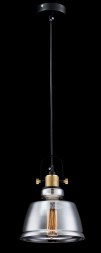 Светильник подвесной Maytoni T163-11-C Irving Черный 1xE27x40W