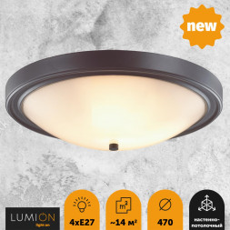 Настенно-потолочный светильник LUMION 5260/4C NINA