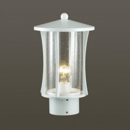 4173/1B NATURE ODL19 577 белый/прозрачный Уличный светильник на столб IP44 E27 1*40W GALEN