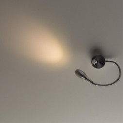 Светильник настенный Arte Lamp A7005AP-1SS SCORCIO матовое серебро 1хLEDх3W 3000К 220V