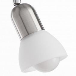 Светильник потолочный Arte Lamp A3115PL-2SS FALENA матовое серебро 2хE14х40W 220V