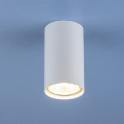 Накладной потолочный светильник белый Elektrostandard 1081 GU10