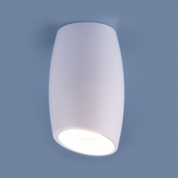Накладной потолочный светильник белый Elektrostandard DLN002 MR16